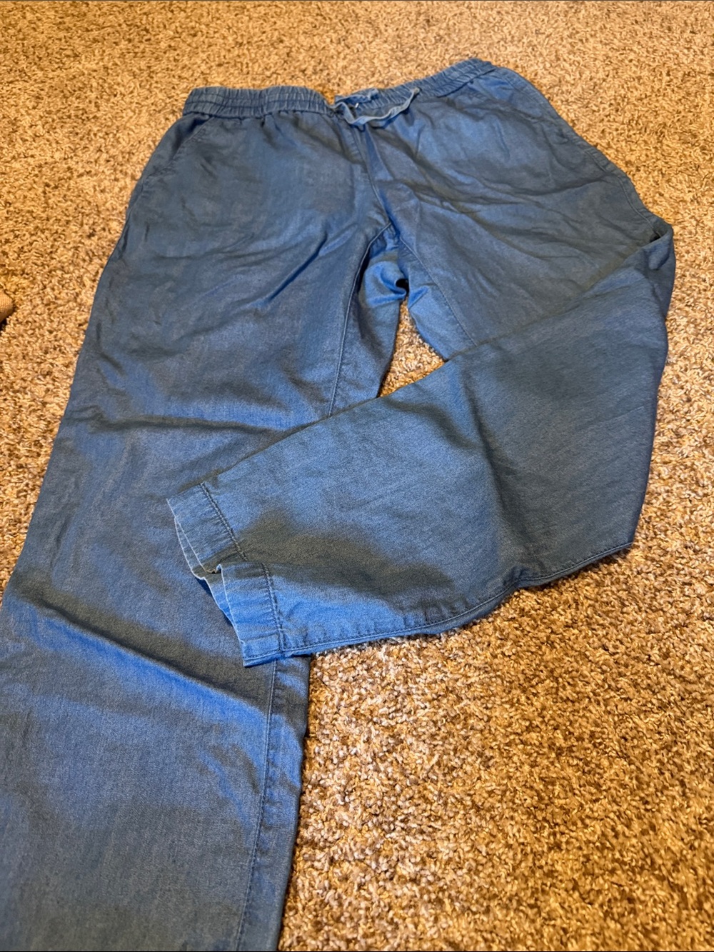 Ruby Rd blue pull-on pants (8P) - EUC!